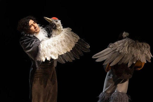 Спектакль «Журавль и цапля»