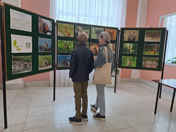 Выставки рисунков «В профессиях наша жизнь»