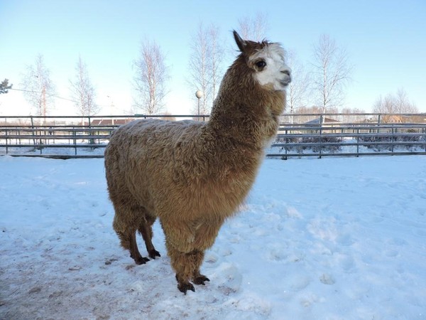 Обзорная экскурсия