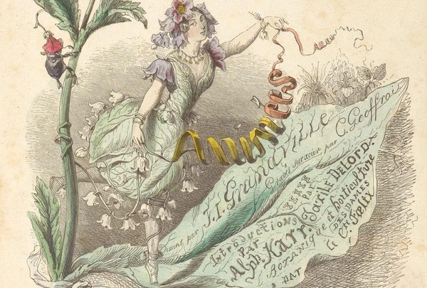 Арт-лекция Русского общества любителей ботанической иллюстрации