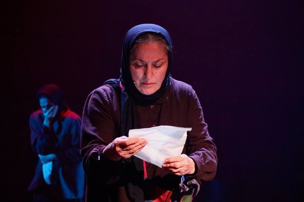 Материнское поле