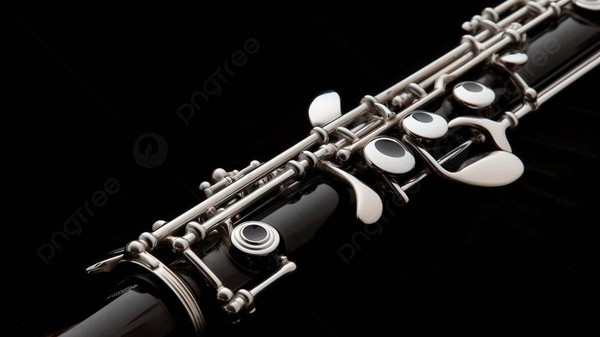 концерт Звучи кларнет