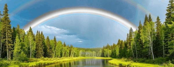 Презентация литературного альманаха «Белая радуга»