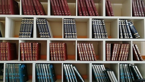 Мой Лесков: путешествие с классиком в библиотеке