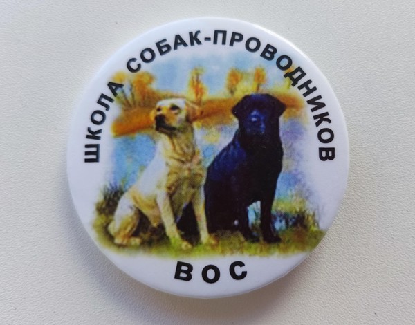 Музейный час «Товарищ особого назначения»