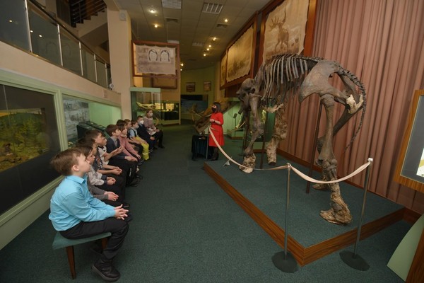 Экскурсия «История палеонтологических находок на Таймыре. Сопкаргинский мамонт»