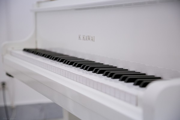 Звучание эпох. Классицизм и модерн. Альт, виолончель и рояль