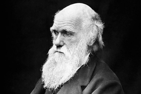 «Чарльз Дарвин»