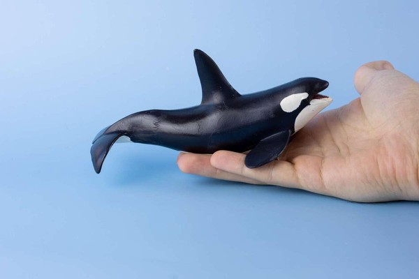 Мастер-класс «Морские великаны»