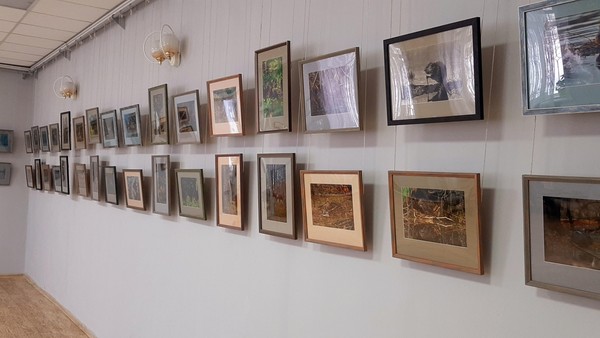 Фотовыставка «Окно в мир дикой природы»