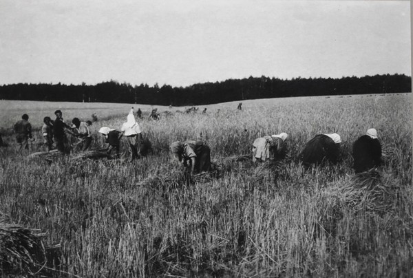Экскурсия «Земля и воля»