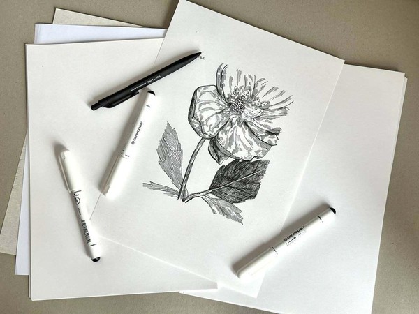 Мастер-класс «Ботаническая зарисовка цветов»