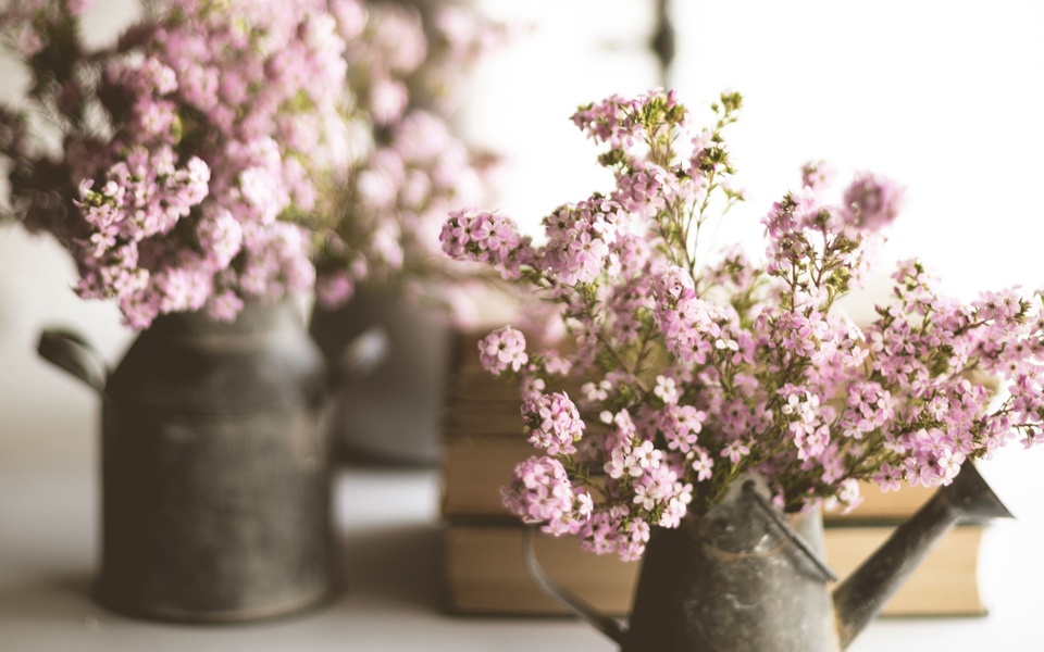 Флора-вечер Весенний дом