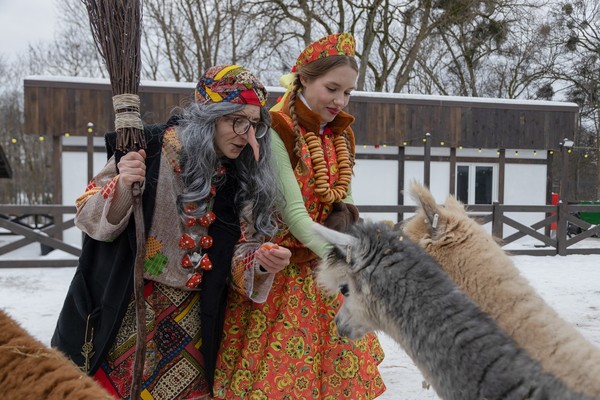 Пушистая масленица в парке альпак «Тиргартен»