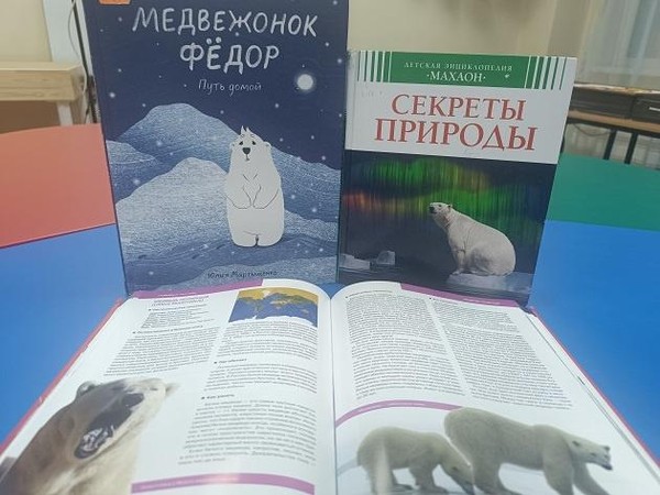 Экологический час «По следам белого медведя»