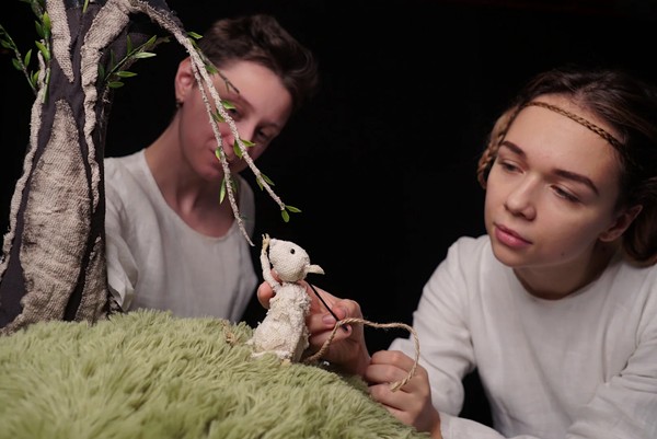 Почему деревья не ходят