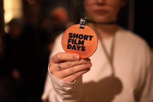 Показ мультфильмов фестиваля «Суздальфест»