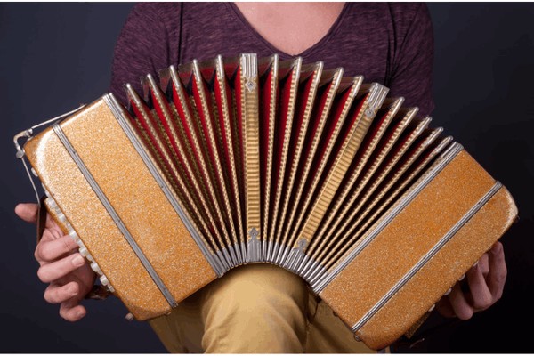 Музыкальное путешествие «Гармошка»