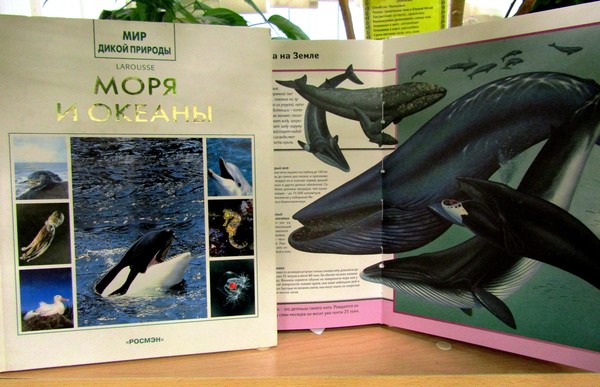 Виртуальное знакомство «Ключи к тайнам океана»