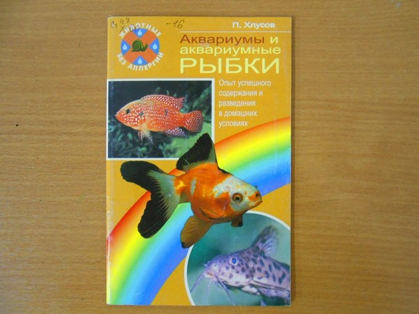 Библио-шоу «Подводный карнавал»