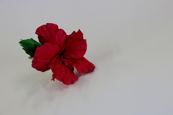 Мастер-класс «Гибискус»