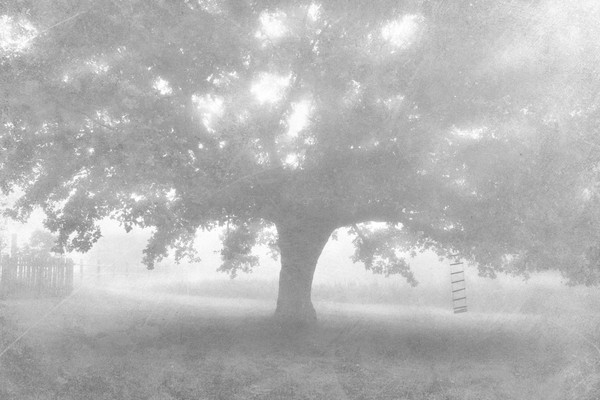 Открытие выставки Андрея Карева «Возвращение в детство»