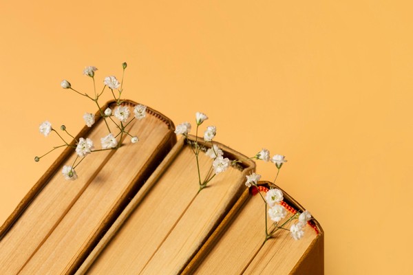 Занятие: «Поэтический мир детства в вокальном цикле Чайковского»