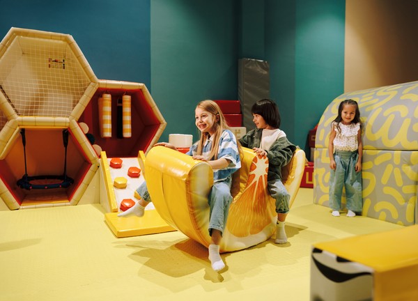 Туристический билет