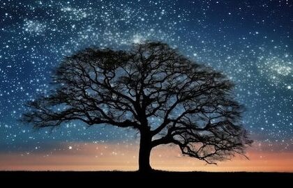 Колыбельная для всех