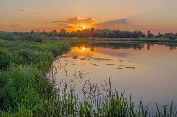 Концерт «Русский соловей»