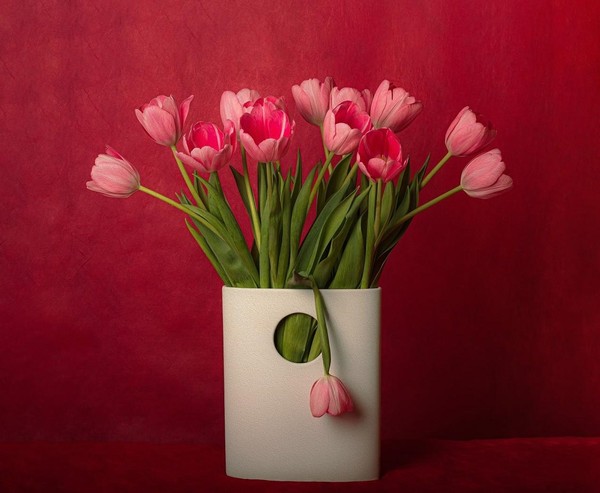 Выставка «Любовь в объективе»