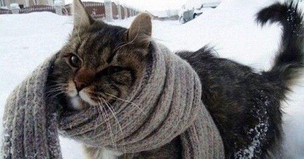 «Безопасность в зимний период»