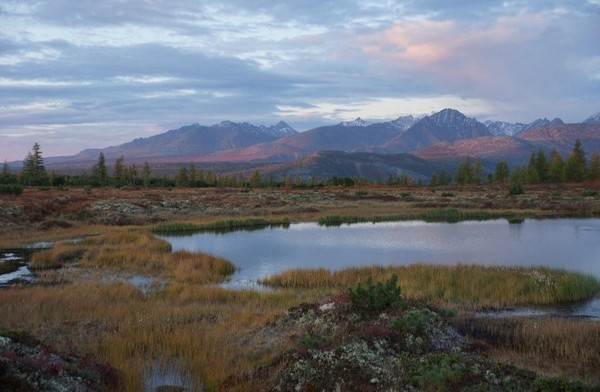 Выставка «Золото Колымского края»