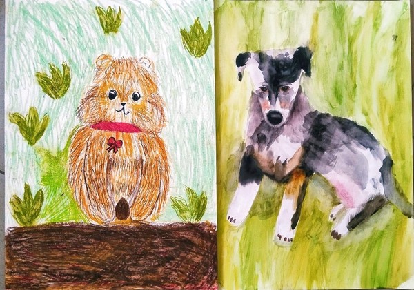 «Любимый питомец»