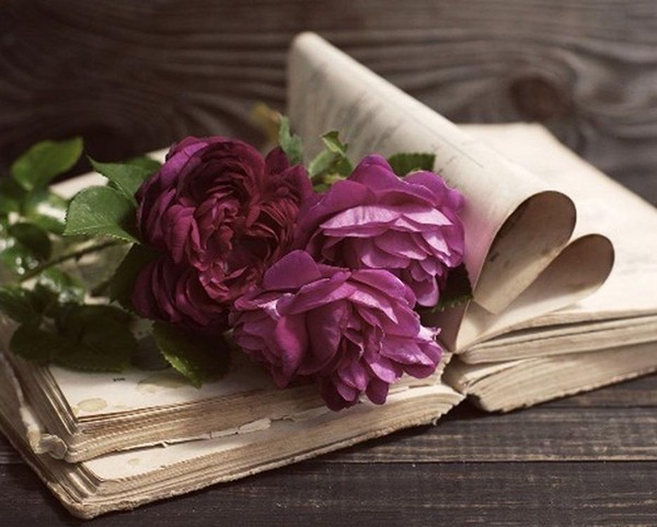 «Этот мир многоязычный»