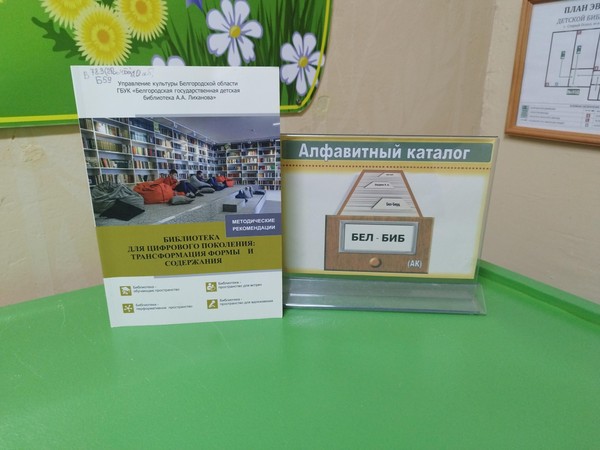 Экскурсия «Чудесная страна-Библиотека»