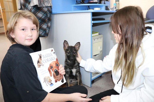 «День любви к своему питомцу»