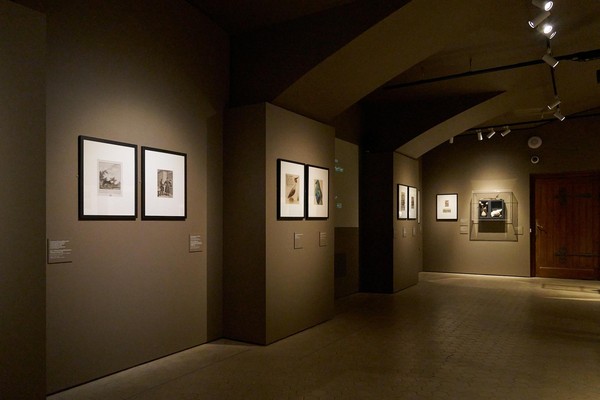 Лекция «Между текстом и легендой: чудовища в средневековых бестиариях»