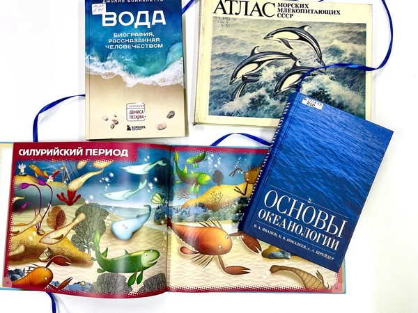 Игра «В мире морских животных»