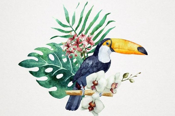 Мастер-класс «Тукан»