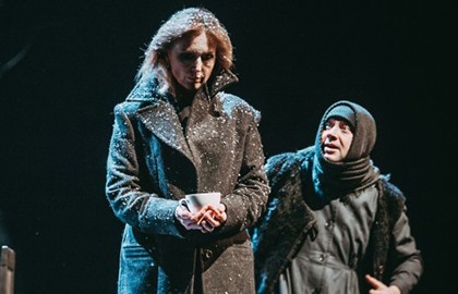 Железнова Васса Мать