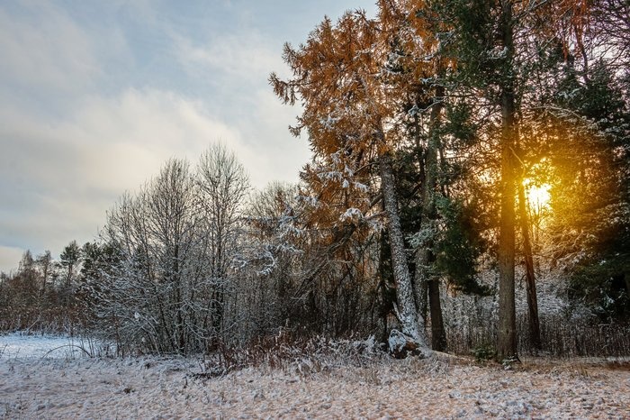 Зимние сказки Вепсского леса (2 дня / 1 ночь)
