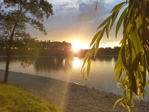 Акция «Родной страны многоязычье»