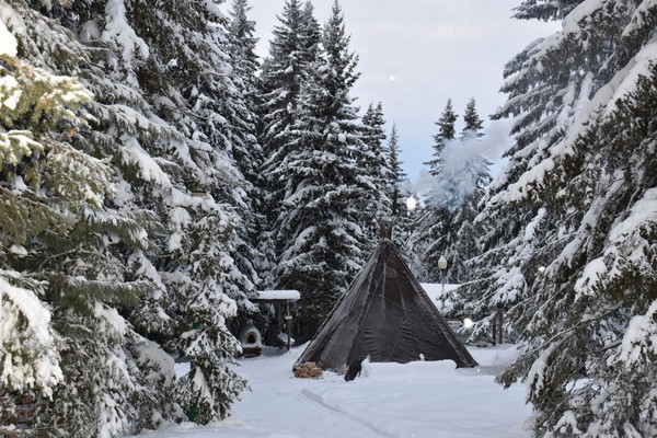 Программа «День на стойбище»