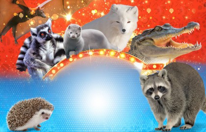 Фантастические твари