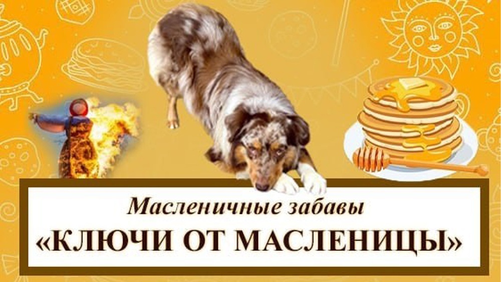 Екатеринбургский цирк «Арлекино» приглашает на праздники!