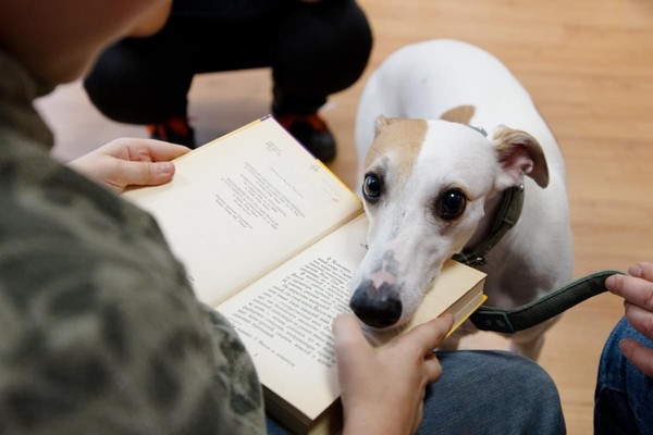 Хвостатые чтения и обнимашки с собаками