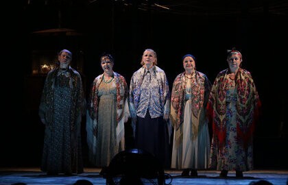 Земля Эльзы