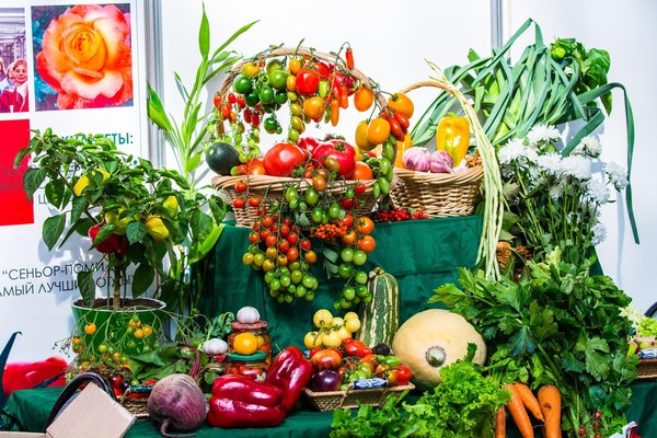 «Весна начинается здесь!»