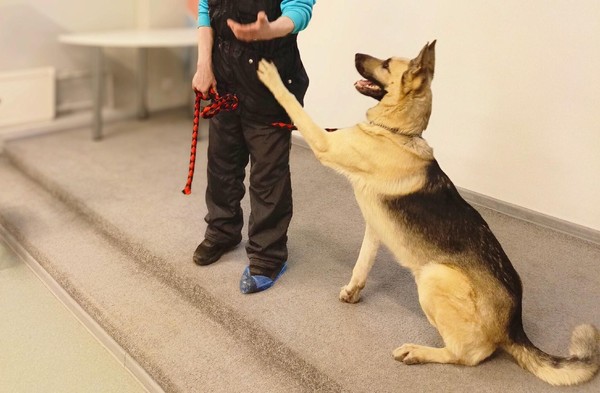 Познавательный час «На службе спецназначения»